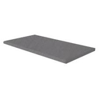 BLUE STONE 13X24 COPING