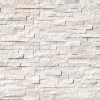ARCTIC WHITE 6x24 PANEL