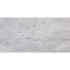 ARABESCATO CARRARA 12X24 HONED