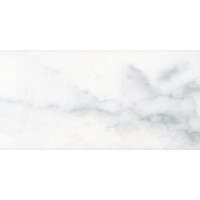 STATUARY BRIGHT 6X18