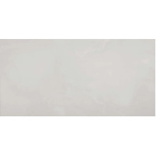 LM AGATA ARENA 24X48 R PO
