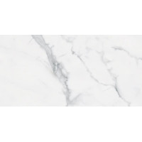 BIANCO VENATINO UP 12X24 R