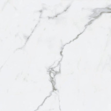 BIANCO VENATINO PO 24X24 R