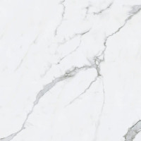 BIANCO VENATINO PO 35X35 R