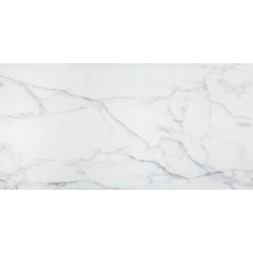 LM CARRARA 24X48 R UP