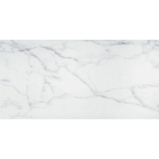 LM CARRARA 24X48 R PO