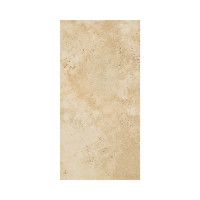 AUBURN EBUR 12X24