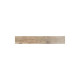 BARNYARD VIEJO 6X36