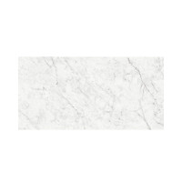 CAPRI CARRARA 24X48