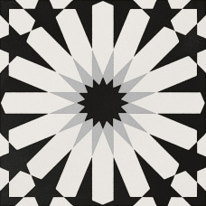 ETNA ASTER BLK & WHT 8X8 D1A2