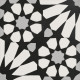 ETNA BIG ASTER BLK & WHT 8X8 D1B2