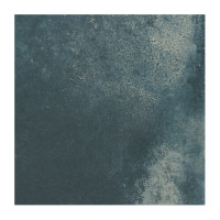 COASTAL OCEAN 4X4