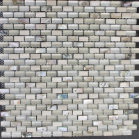 SEA JEWEL CONCH SMALL BRICK