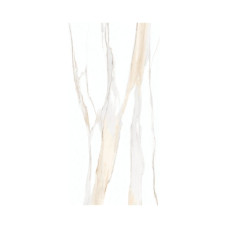 EVERSTONE CALACATTA GOLD 24X48