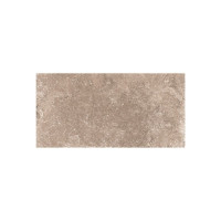 ICONIC BEIGE 8X16