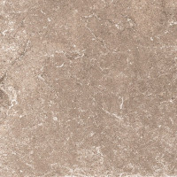 ICONIC BEIGE 8X8