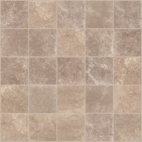 ICONIC BEIGE 2X2 MOSAIC