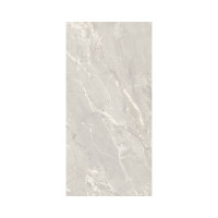 LIVORNO TM SILVER 12X24