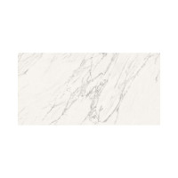 LIVORNO TM VENATINO 24X48