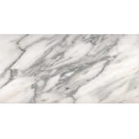 BIANCO CARRARA 12X24 HONED-PPS