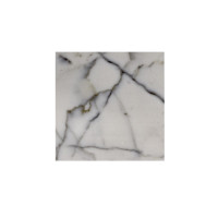 BIANCO GIOIA HONED 12