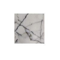 BIANCO GIOIA POLISHED 12