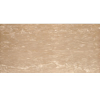 BOTT FIORITO 12X24 HONED-PPS