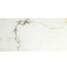 CALACATTA GOLD HONED 12X24