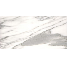 STATUARIO VENATO WHITE 12X24