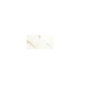 CALACATTA GOLD 3X6 POLISHED
