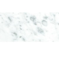 CARRARA 12X24