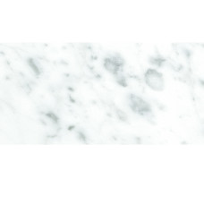 CARRARA 12X24