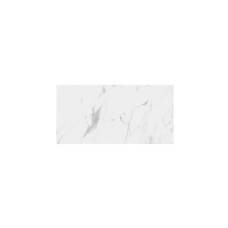 STATUARIO (CARRARA SELECT)  3X6