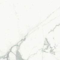 MARMI BIANCO VEN.EXTRA 24X24