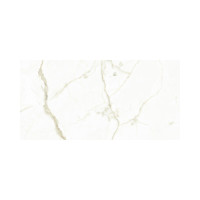 MARMI WHITE CALACATTA 24X48
