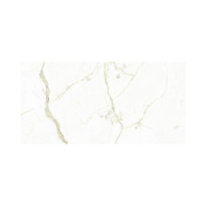 MARMI WHITE CALACATTA 24X48