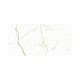 MARMI WHITE CALACATTA 24X48