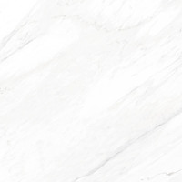 MEGA LUXE WHITE 48X48 HONED