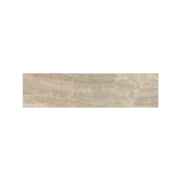NEOSTONE PANAZZO 12X48