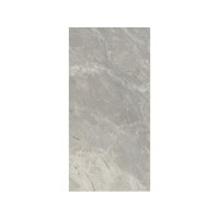 NEOSTONE BLUE 12X24
