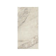 NEO POLISH ARABESCATO 12X24