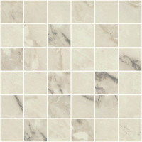 NEO POLISH ARABESCATO 2X2 MOS