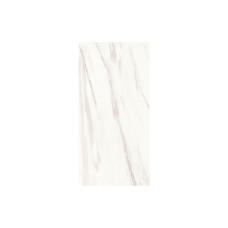 NEO POLISH VENATO 12X24
