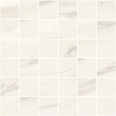 NEO POLISH VENATO 2X2 MOSAIC