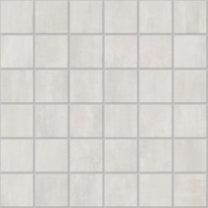 OLYMPUS INDIUM 2X2 MOSAIC