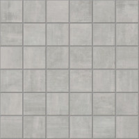 OLYMPUS PLATINUM 2X2 MOSAIC