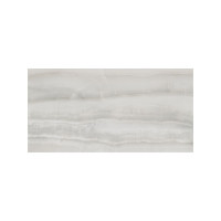 ONYX SILVER 24X48 POLISHED