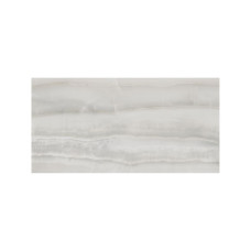 ONYX SILVER 24X48 POLISHED