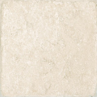 PETRASTONE AVORIO 16X16
