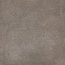 PLATINUM 24X24 FOREST